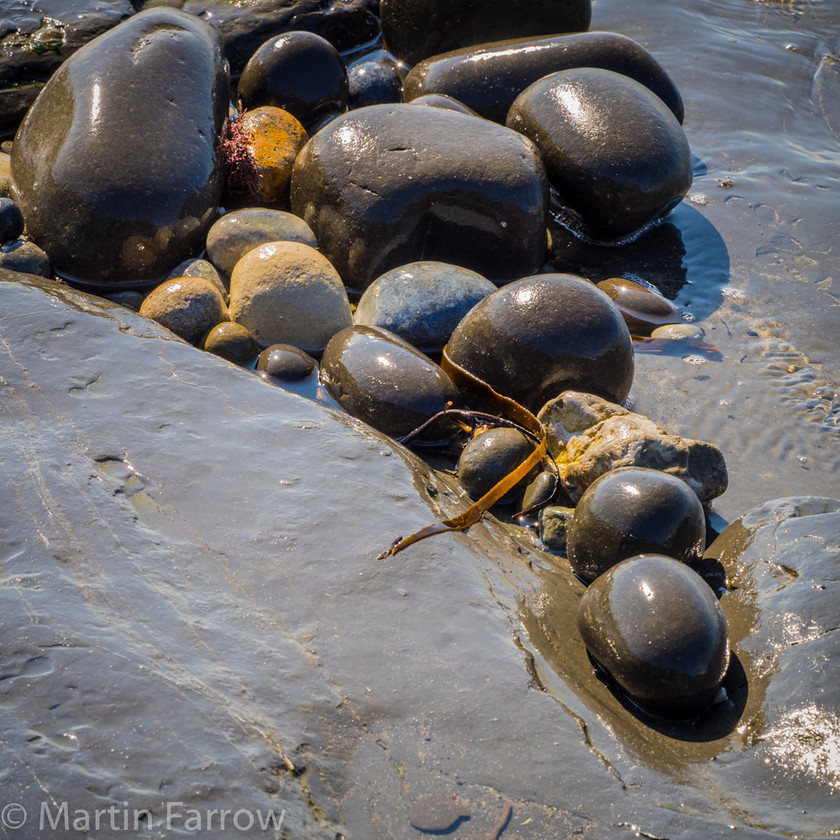 Wet-Pebbles 
 Wet pebbles on rocky shore 
 Keywords: Dorset, Kimmeridge, beach, cliffs, coast, rocks, sea, water,pebbles,wet,shiny,brown