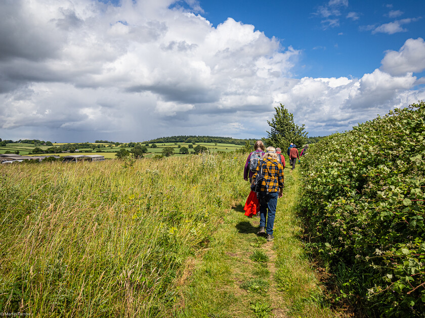 7067314 
 Keywords: 70th anniversary, Celebration, Cheriton, Flowr Pots, Ramblers, countryside, outdoors, party, summer, walk