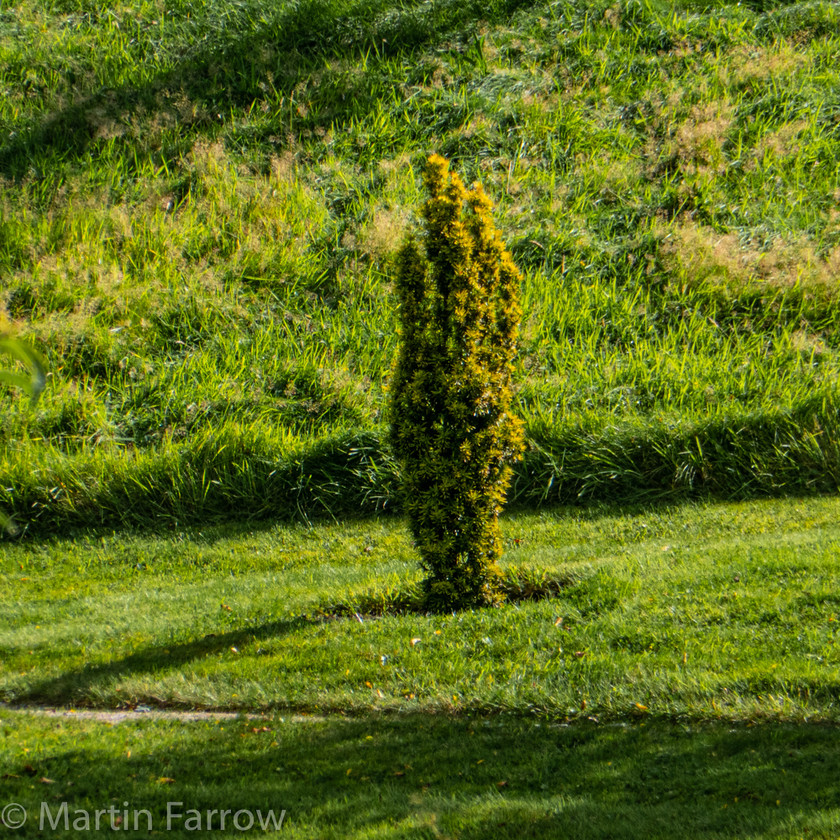 1100870 
 Keywords: Cornwall, Devon, Liskeard, RHS, The Garden House, autumn, gardens, sun