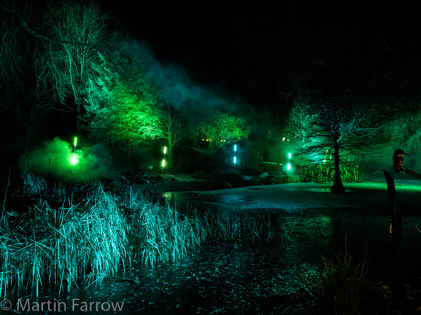 C171607-Edit 
 Keywords: Christmas, Hilliers gardens, lights, night, show, winter