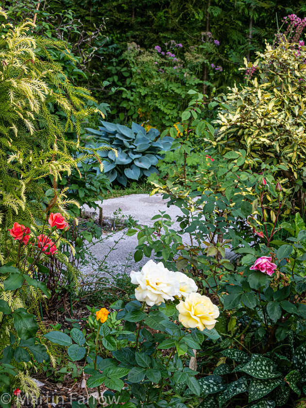 6103379 
 Keywords: Chandlers Ford, Hampshire, Leven Close, garden, outdoors, summer