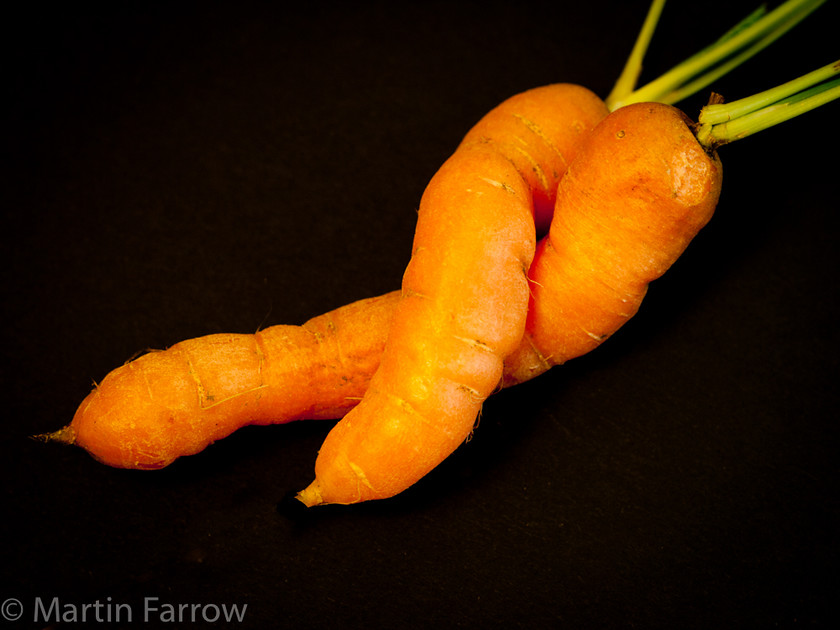 Cuddle 
 Two carrots intertwined 
 Keywords: Carrots, Food, strange food, vegetables,carrots,two,intertwined,fresh,friendly,loving