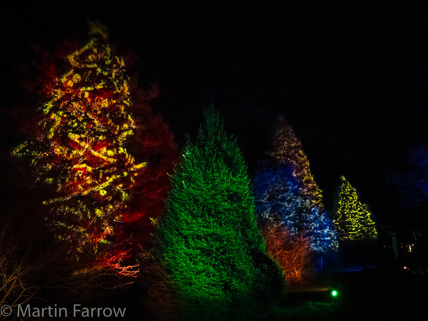 C171457-Edit 
 Keywords: Christmas, Hilliers gardens, lights, night, show, winter