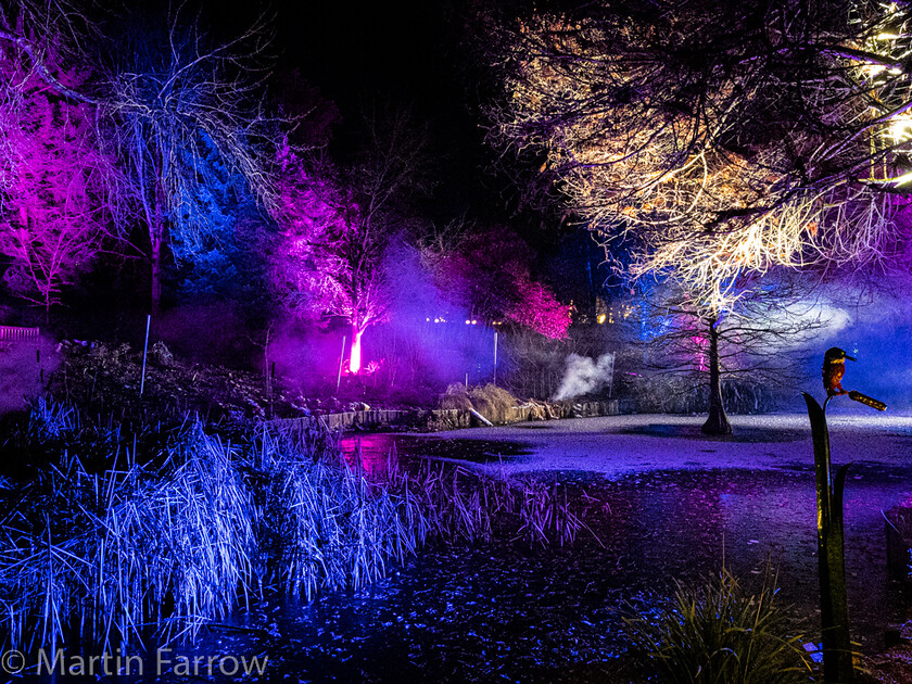 C171587 
 Keywords: Christmas, Hilliers gardens, lights, night, show, winter