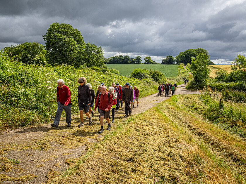 7067150 
 Keywords: 70th anniversary, Celebration, Cheriton, Flowr Pots, Ramblers, countryside, outdoors, party, summer, walk