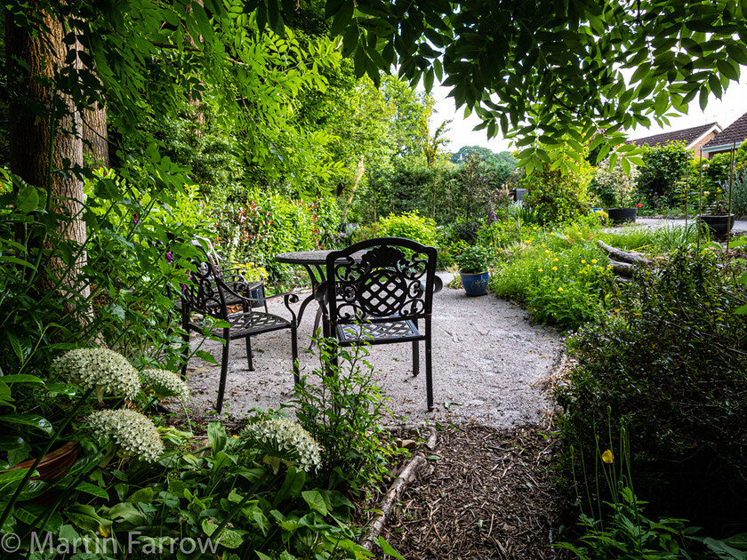 6103338 
 Keywords: Chandlers Ford, Hampshire, Leven Close, garden, outdoors, summer