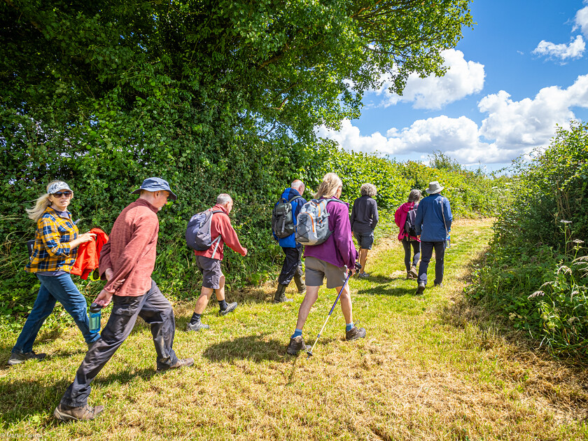 7067320 
 Keywords: 70th anniversary, Celebration, Cheriton, Flowr Pots, Ramblers, countryside, outdoors, party, summer, walk