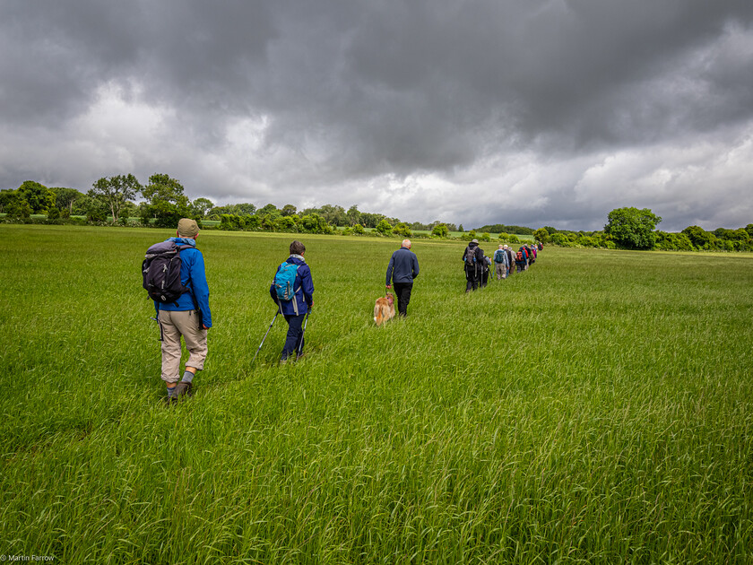 7067185 
 Keywords: 70th anniversary, Celebration, Cheriton, Flowr Pots, Ramblers, countryside, outdoors, party, summer, walk