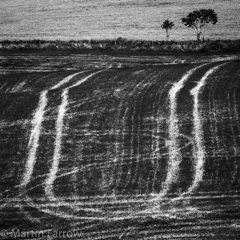 Tracks 
 Stark tracks in field making u-shape, monochrome 
 Keywords: coast to coast, contrast, counteyside, curved, field, monochrome, outdoor, summer, tracks, trees