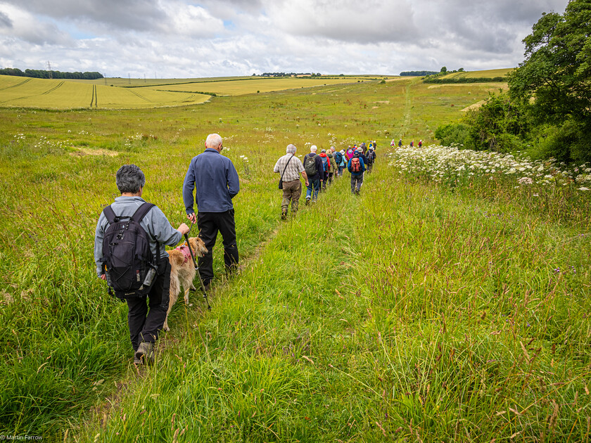 7067178 
 Keywords: 70th anniversary, Celebration, Cheriton, Flowr Pots, Ramblers, countryside, outdoors, party, summer, walk