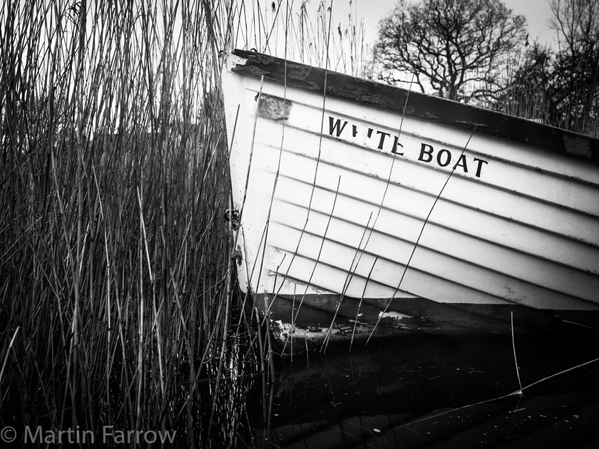 White-Boat 
 White boat in reeds at water's edge, monochrome 
 Keywords: Boathouse, Hickling Broad, Norfolk, beached, boat, coast, reeds, shore, thatched, water, white, winter