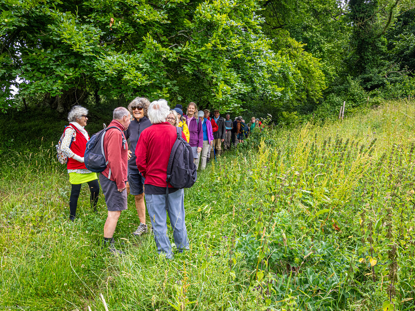 7067154 
 Keywords: 70th anniversary, Celebration, Cheriton, Flowr Pots, Ramblers, countryside, outdoors, party, summer, walk