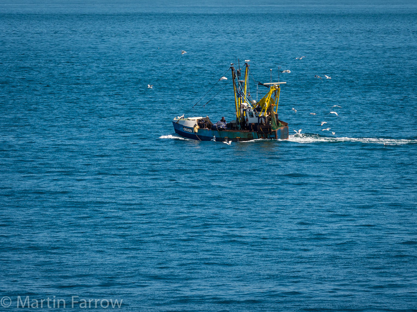 Bringing-the-Catch-Home 
 Fishing boat returning to port with catch surrounded by sea gulls 
 Keywords: Dorset, Portland, blue, boat, catch, fishing, gulls, landscape, ocean, sea, summer, sun, view, water, working