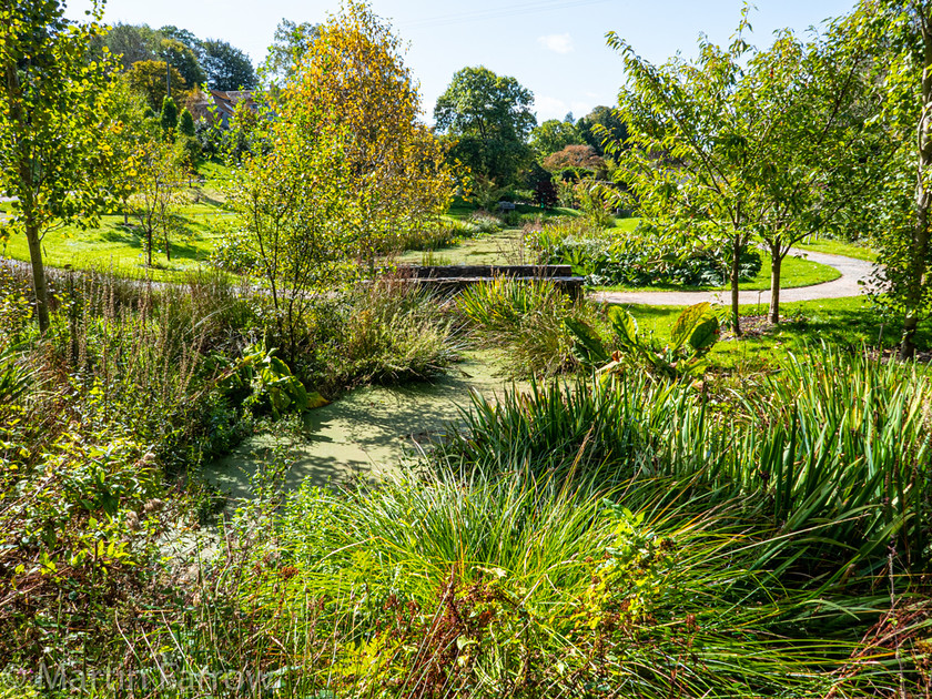 1100852 
 Keywords: Cornwall, Devon, Liskeard, RHS, The Garden House, autumn, gardens, sun