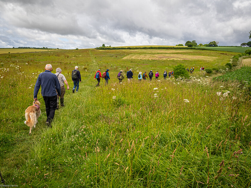 7067179 
 Keywords: 70th anniversary, Celebration, Cheriton, Flowr Pots, Ramblers, countryside, outdoors, party, summer, walk