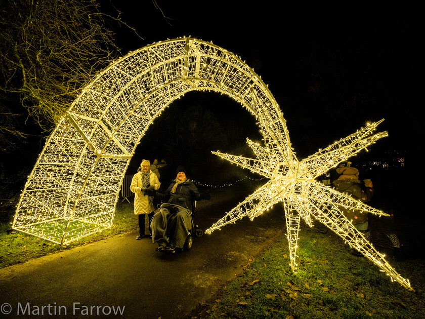 C171437-HDR 
 Keywords: Christmas, Hilliers gardens, lights, night, show, winter