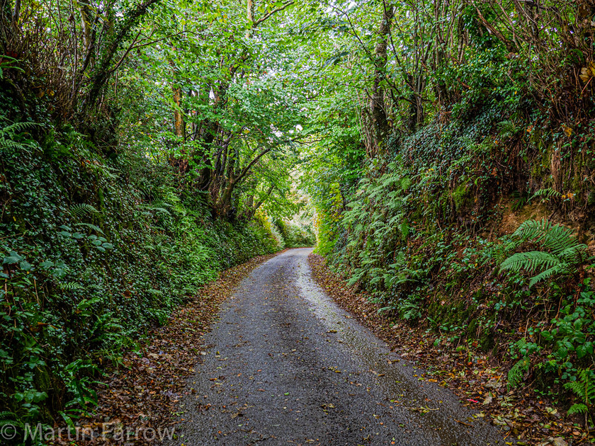 9302520 
 OLYMPUS DIGITAL CAMERA 
 Keywords: Cornwall, Liskeard, autumn, countryside, rain, walk