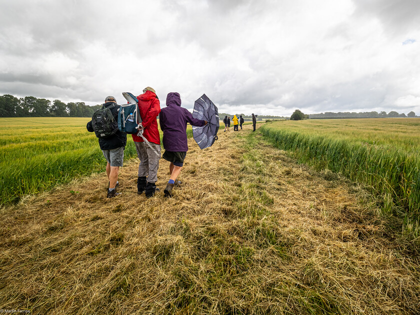 7067225 
 Keywords: 70th anniversary, Celebration, Cheriton, Flowr Pots, Ramblers, countryside, outdoors, party, summer, walk