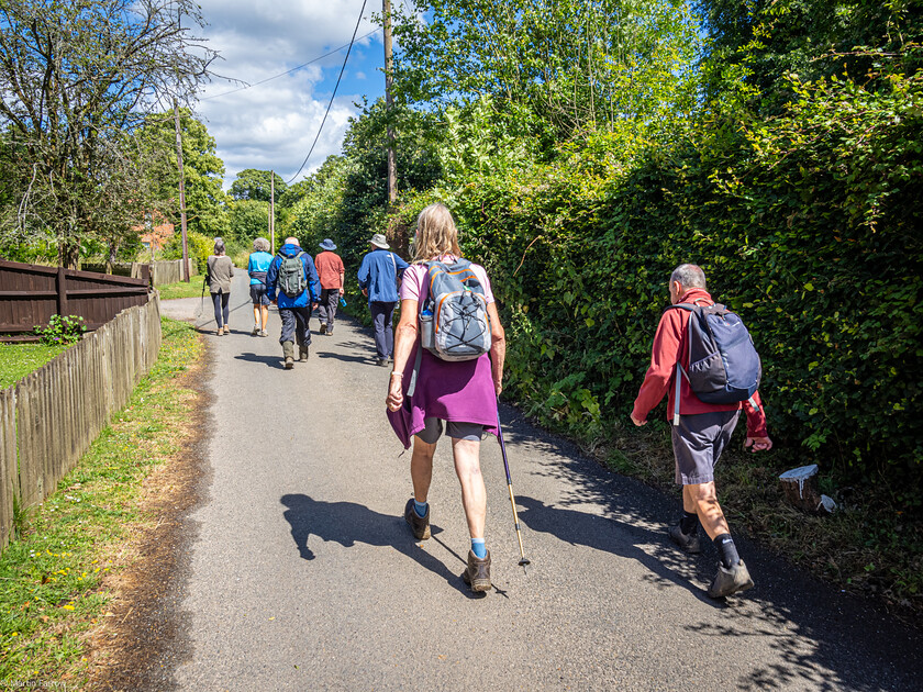 7067325 
 Keywords: 70th anniversary, Celebration, Cheriton, Flowr Pots, Ramblers, countryside, outdoors, party, summer, walk