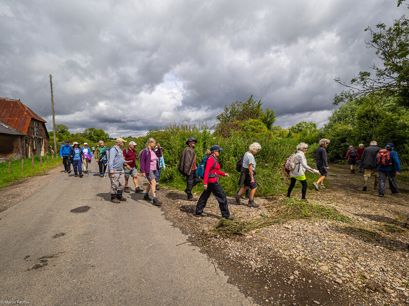 7067223 
 Keywords: 70th anniversary, Celebration, Cheriton, Flowr Pots, Ramblers, countryside, outdoors, party, summer, walk