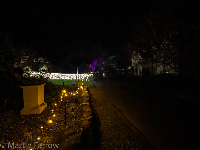 C171544-Edit 
 Keywords: Christmas, Hilliers gardens, lights, night, show, winter