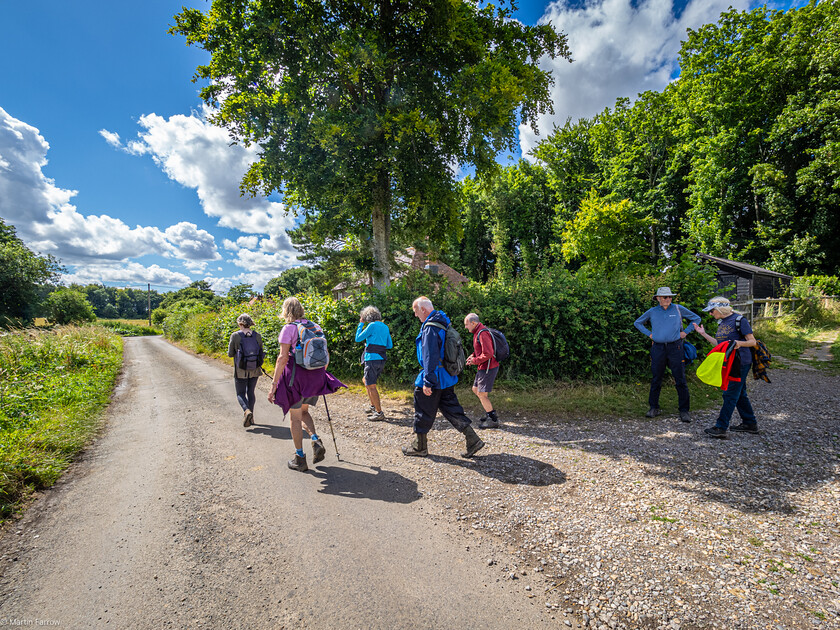 7067327 
 Keywords: 70th anniversary, Celebration, Cheriton, Flowr Pots, Ramblers, countryside, outdoors, party, summer, walk